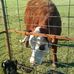 Greg Moeller - Facebook