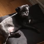 Grégory Moisan - @gregm4567 - Instagram