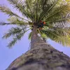 Gregory Moisson - @gregory.moisson - TikTok