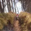 Gregory Montoya - @gregorymontoya0 - TikTok