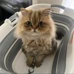 Gregory Scott Scottie Montoya - @gregory.scottie - Instagram