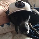 Gregory Morehead - @munkyman76 - Instagram