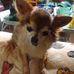 Gregory Morrow - Facebook