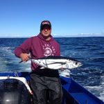 Gregory Morrow - @hawgmorrow - Instagram