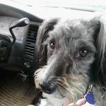 Nancey. Gregory - @nancey.gregory - Instagram