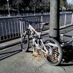 Gregory Nardeux - @nardeuxgregory - Instagram