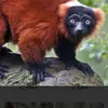 gregorynelson8 - @gregorynelson8 - TikTok