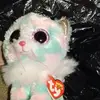 kitty - @gregorynivens - TikTok