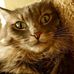 Gregory Nickerson - Facebook