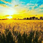 Gregorynickerson - @gregorypics123 - Instagram