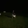 gregory núñez - @gnunez100 - TikTok