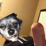 Gregory Mcdonald Ocampo - @gregorymcdonald_ - Instagram