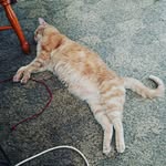 Gregory Oxley - @gregory.oxley - Instagram