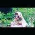 parrisgregory - @parrisgregory - TikTok