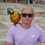 Grzegorz Papuga - @gregory_parrot - Instagram