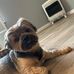 Greg Pelfrey - Facebook