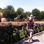 Gregory Poelzer - @gregorypoelzer - Instagram