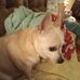 Gregory Power - Facebook