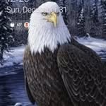 Gregory quillen - @gregoryquillen98 - Instagram