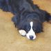 Greg Ring - Facebook