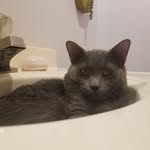 Gregory Robles - @greygamingyt68 - Instagram