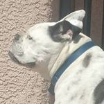 Gregory Sacks - @sacksgregory - Instagram