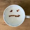 Gregory Sadowski - @gregorysadowski_3294 - TikTok