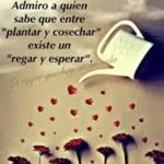 Gregory Salas - @gregorysalas35 - Instagram