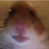 user5189005431531 - @gregorysamuel - TikTok