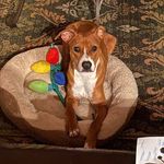 Gregory Savoy - @gtsonthehill77 - Instagram