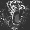 TheBlackScreen - @gregory_knh07 - TikTok