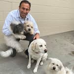 Dr Gregory Shipman - @drgreg007 - Instagram