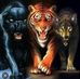 Gregory Stabile - Facebook