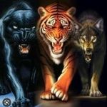 Gregory Stabile - @solobreed76 - Instagram