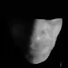 Gregory Stephan - @gregory.stephan - TikTok