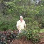 Gregory Stokes - @gregory751963 - Instagram