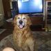 Greg Strain - Facebook