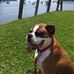 Greg Strain - Facebook