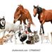 Greg Stratton - Facebook