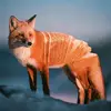 gregorytedder393 - @gregorytedder393 - TikTok