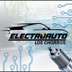 Gregory Toro - @electroauto_loschorros - Instagram