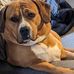 Greg Tromp - Facebook
