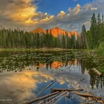 Gregory N. Tyree - @gregoryn.tyree - Instagram