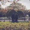 tyreegregory795 - @tyreegregory795 - TikTok