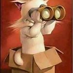 Gregory Valencia - @gregoryvalencia6681 - Instagram