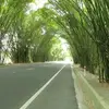 Gregory Valencia - @gregory2418 - TikTok