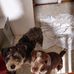Greg Vanover - Facebook