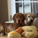 Gregory L Varner - @gregaufan - Instagram