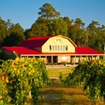 GregoryVineyards - @gregoryvineyards - Instagram