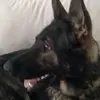 Greg Walden - @greg.walden - TikTok